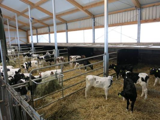 Tierhaltung-Tierzucht