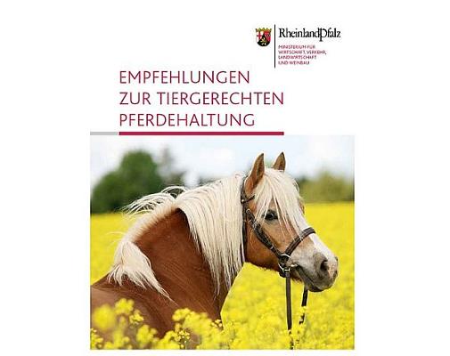 Broschüre Empf. tiergerechte Pferdehaltung