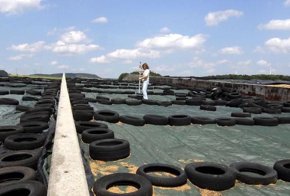 Silage Probenentnahme für Analyse