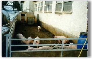 Aussenansicht der Anlage
