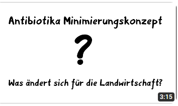 Bild zum Erklaervideo